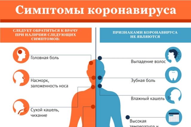 Какие симптомы коронавируса, можно ли его почувствовать Какие симптомы коронавируса, можно ли его почувствовать