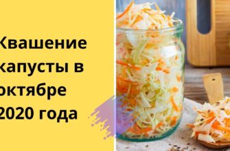 Когда солить капусту в октябре