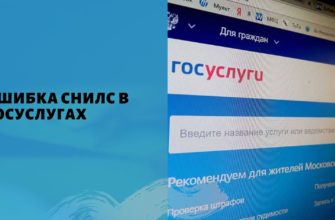 ошибка снилс на госуслугах