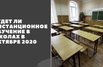 Будет ли дистанционное обучение в школах в октябре 2020