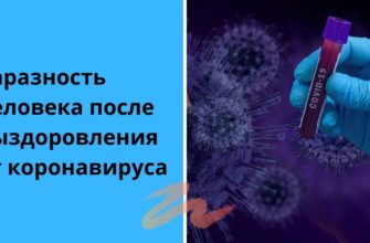 Сколько дней человек заразен после Ковида