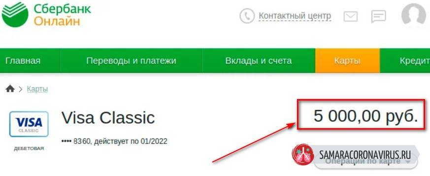Кому пришли деньги 5000 рублей от Путина